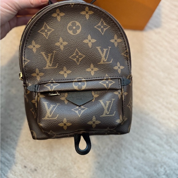 Louis Vuitton Palm Springs Mini - Picture 5 of 15